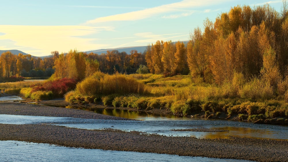 South Fork of the Snake River near Ririe, idaho