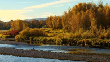South Fork of the Snake River near Ririe, idaho