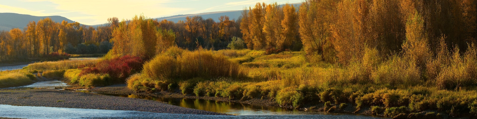 South Fork of the Snake River near Ririe, idaho