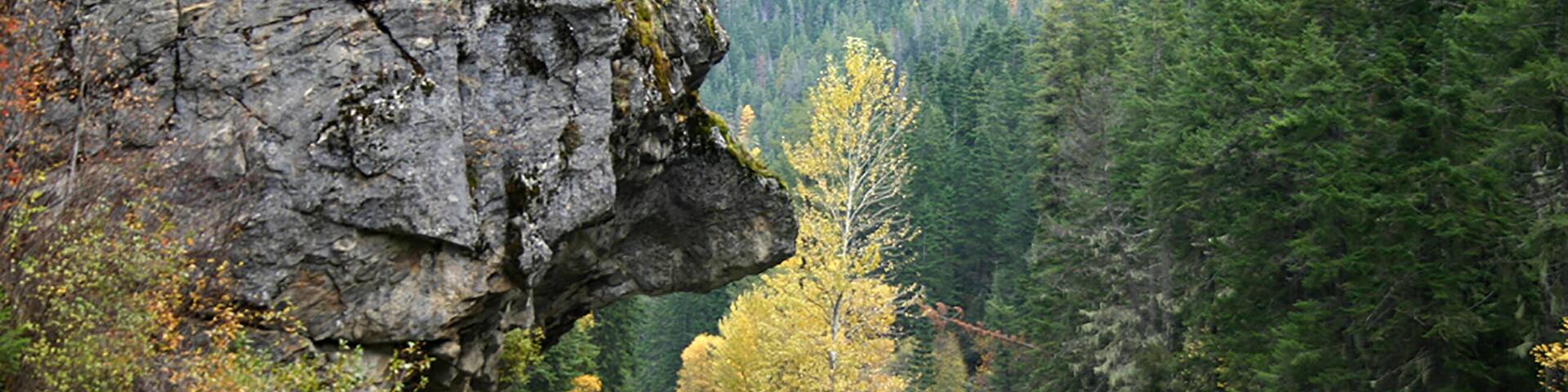 photograph of bluff overhanging Idaho highway 12 along side the southfork of the Clearwater River between Elk City and Grangeville, ID