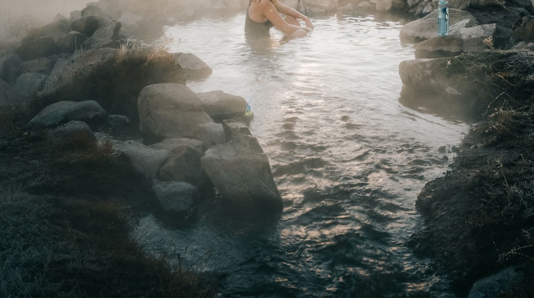 The coolest hot springs I've been to... Worswick hot spring, the whole valley is filled with different pools..just gorgeous.
#trovember #idaho #usa #hotspring #whatshot