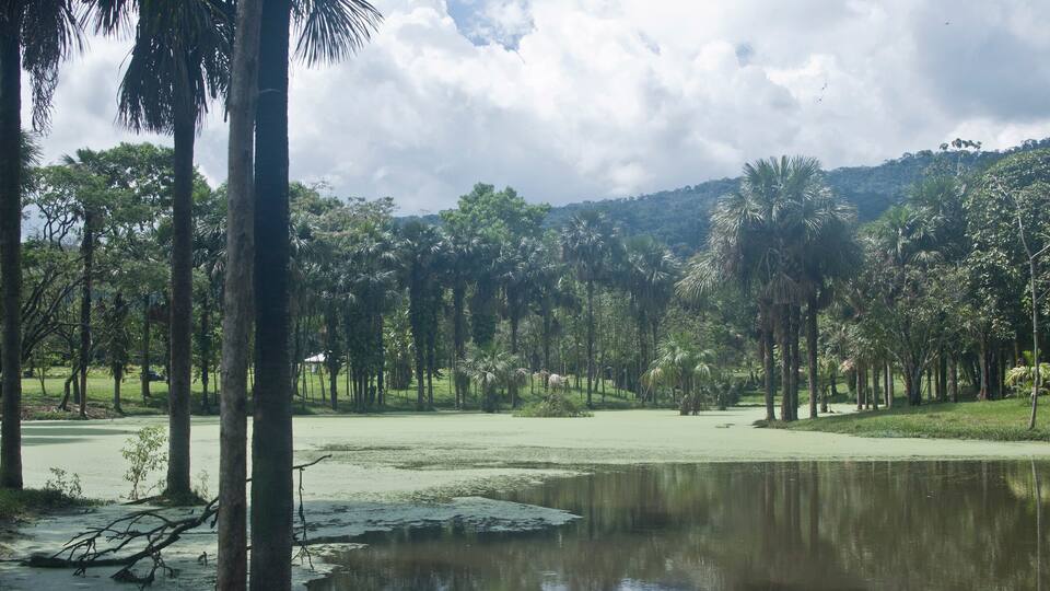 A golf course with a pond, palm trees, and a hilly landscape.