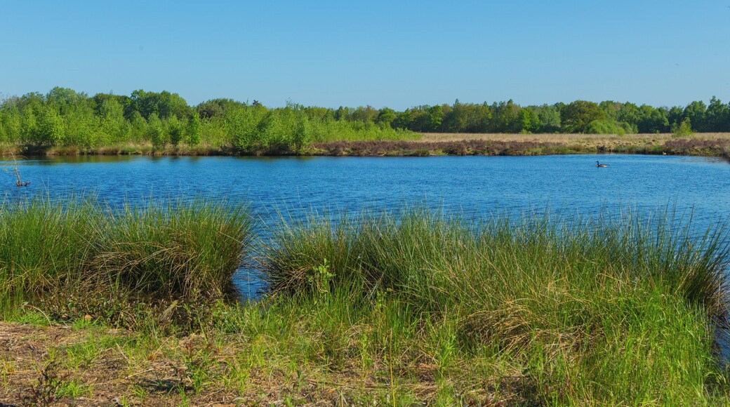 This is a picture of the protected area listed at WDPA under the ID