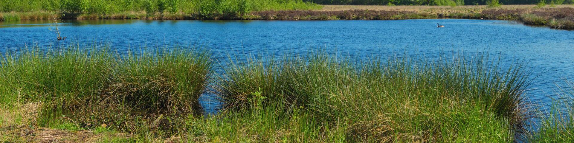 This is a picture of the protected area listed at WDPA under the ID