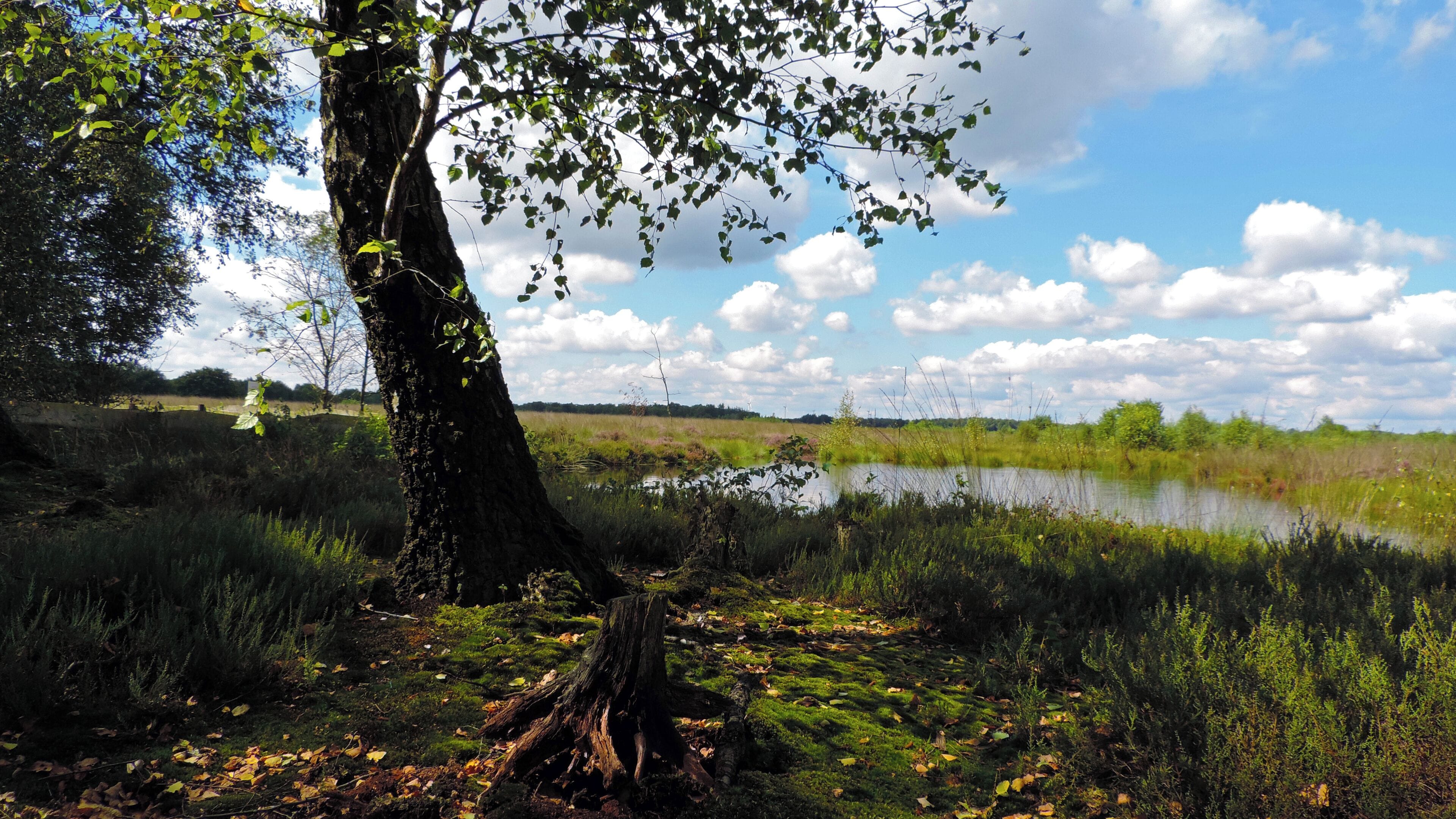 This is a picture of the protected area listed at WDPA under the ID