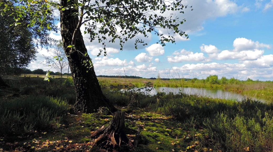 This is a picture of the protected area listed at WDPA under the ID