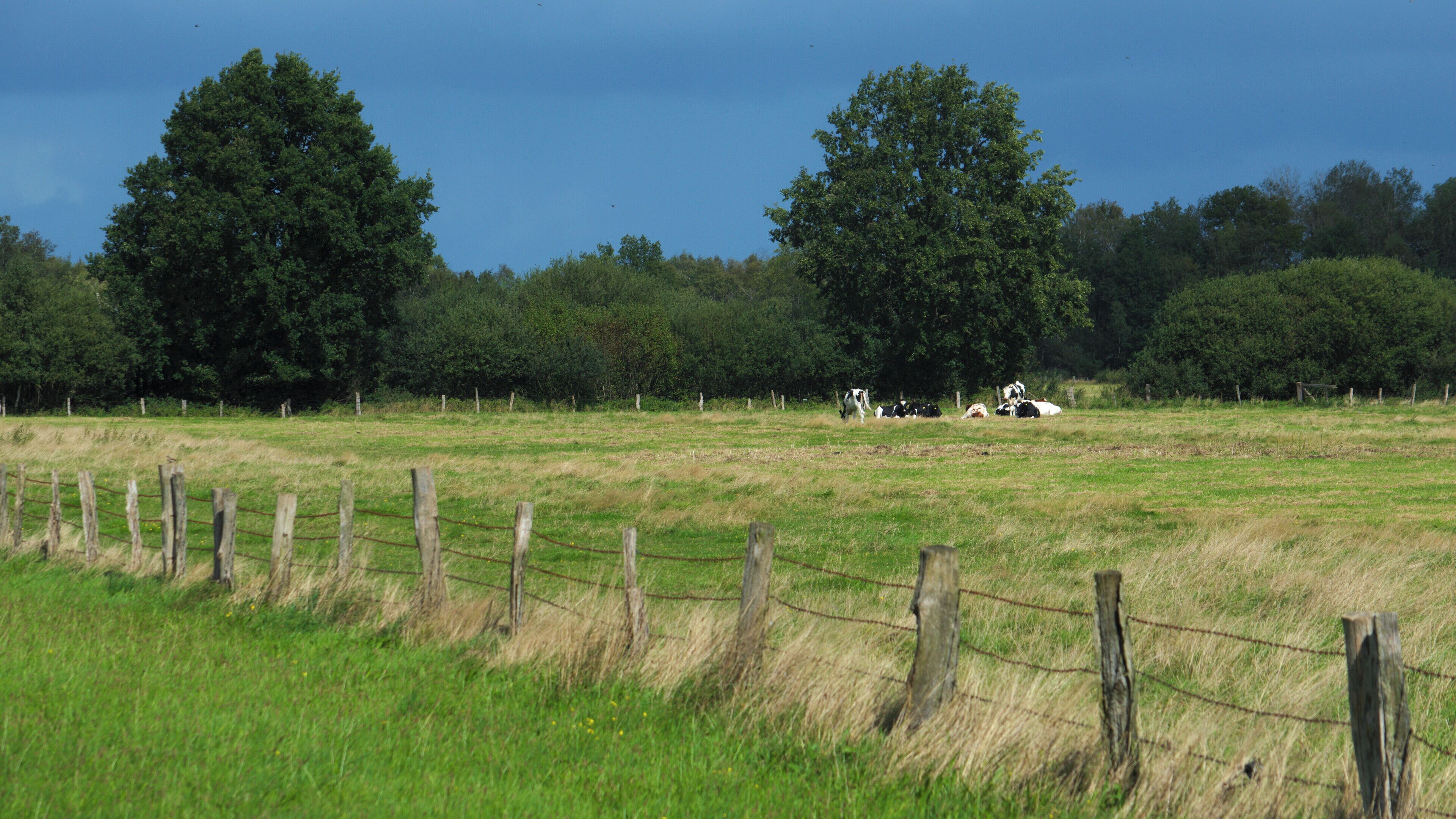 This is a picture of the protected area listed at WDPA under the ID