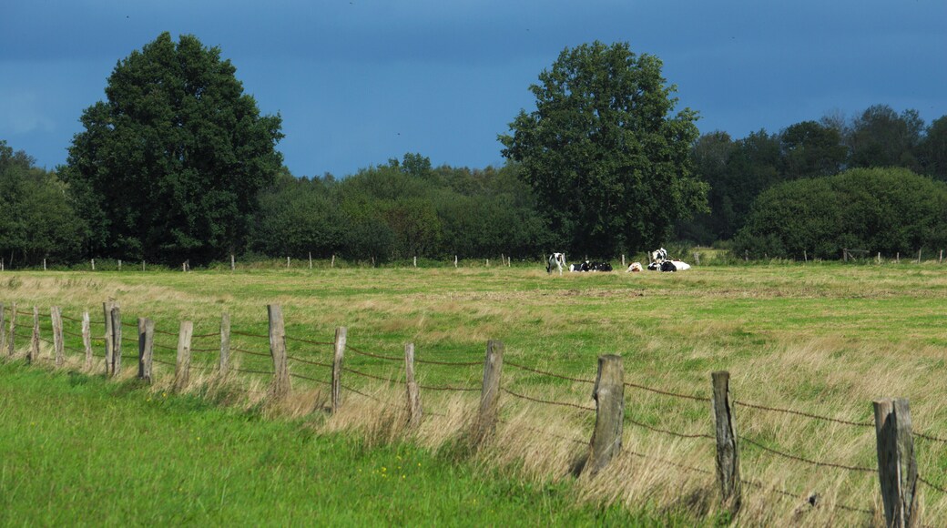 This is a picture of the protected area listed at WDPA under the ID