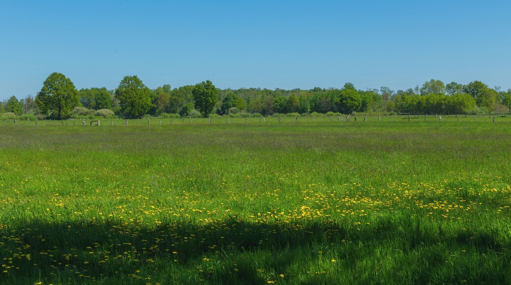 This is a picture of the protected area listed at WDPA under the ID