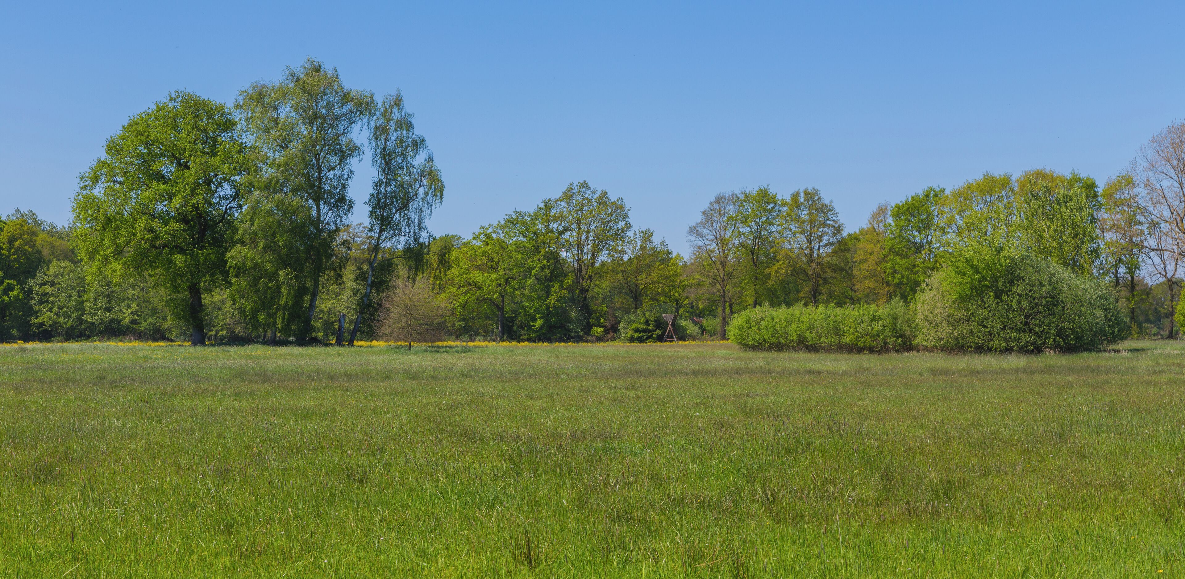 This is a picture of the protected area listed at WDPA under the ID