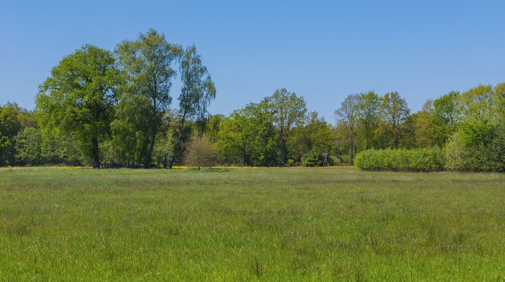 This is a picture of the protected area listed at WDPA under the ID