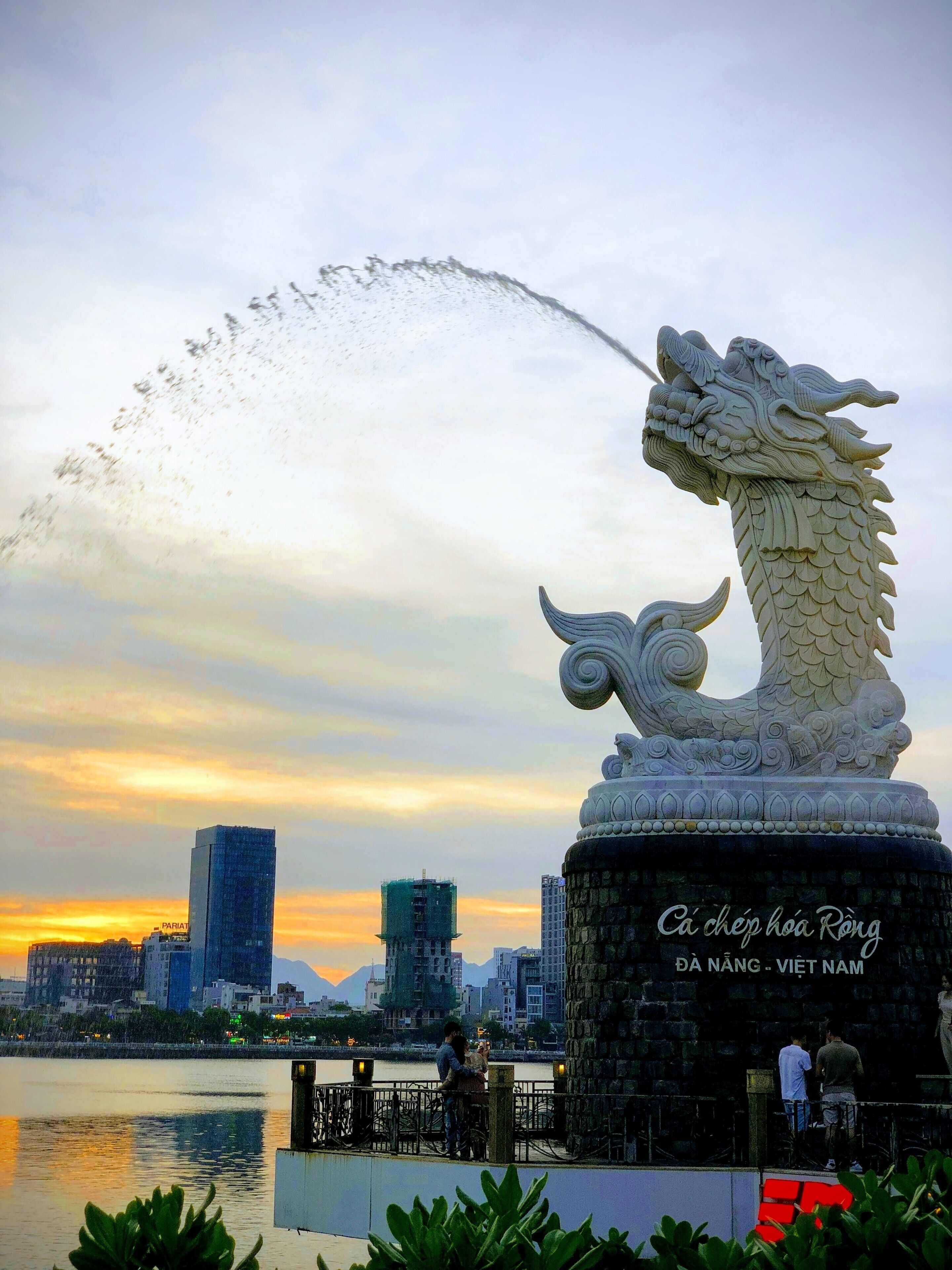 Dragon body fish body 