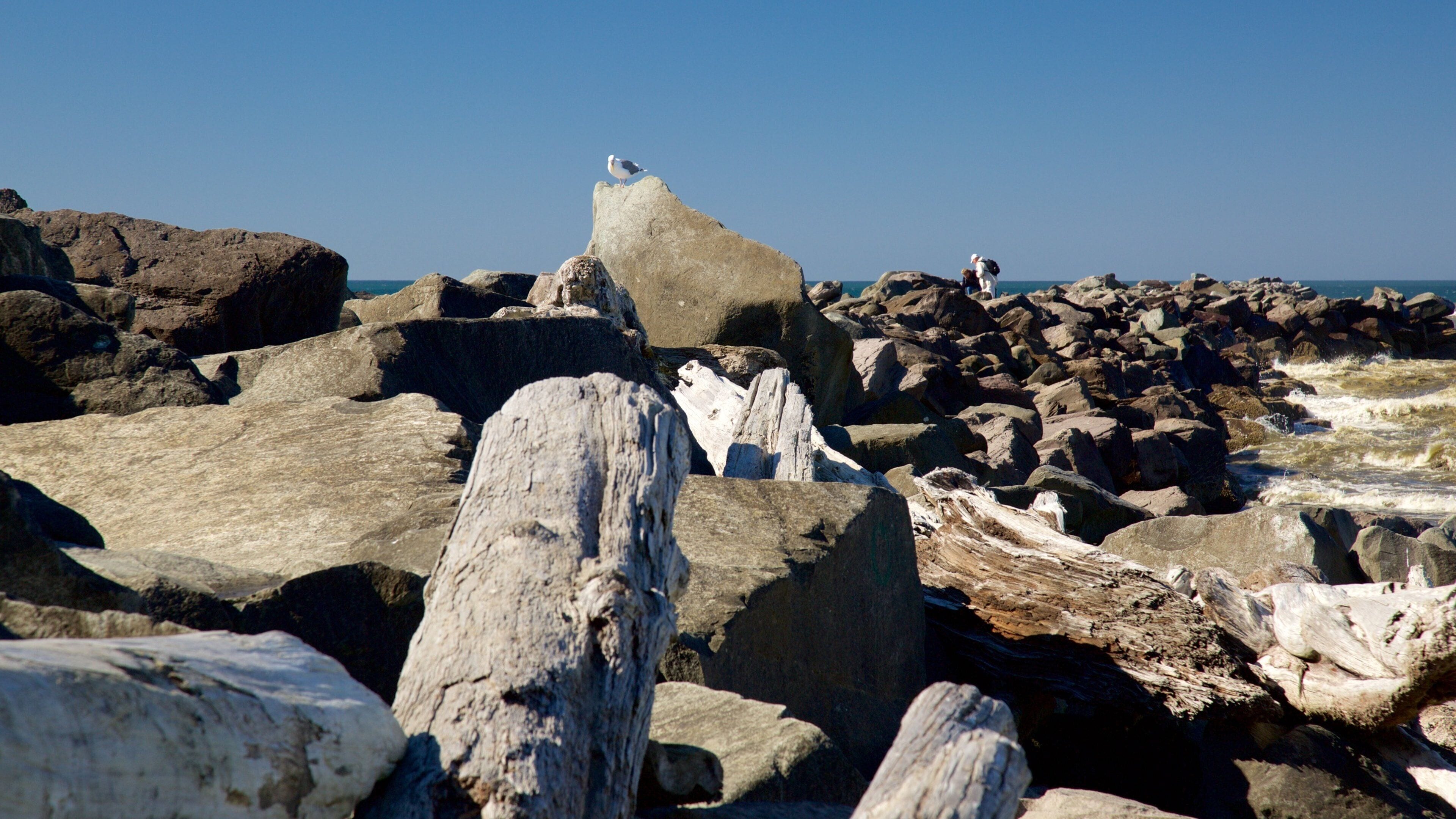North Jetty que incluye costa rocosa
