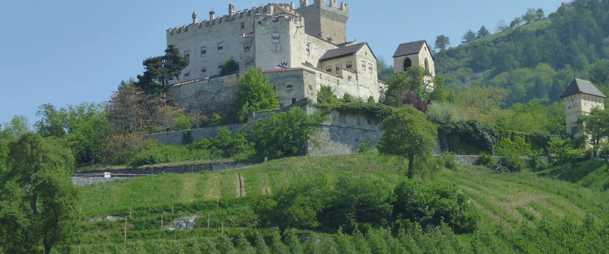 Un castillo en una colina con abundante vegetación y viñedos.