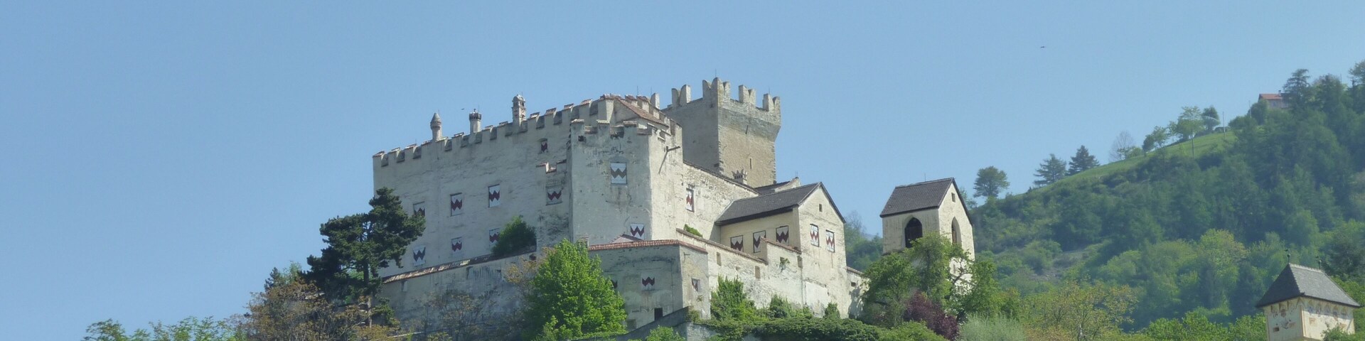 Un castillo en una colina con abundante vegetación y viñedos.
