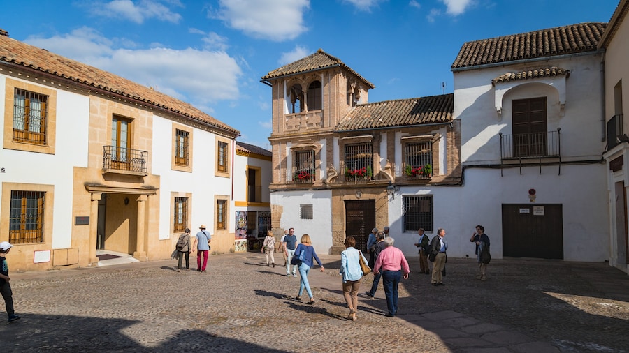 Bullfighting Museum featuring street scenes as well as a small group of people
