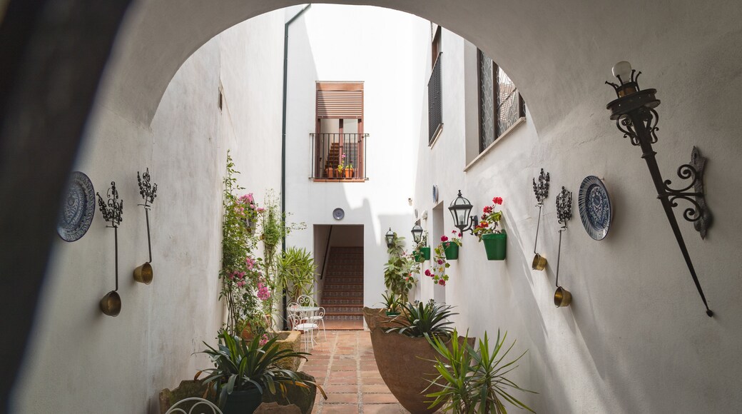 Jewish Quarter featuring flowers