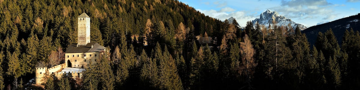Un château entouré d’une forêt dense et bordé par une chaîne de montagnes.
