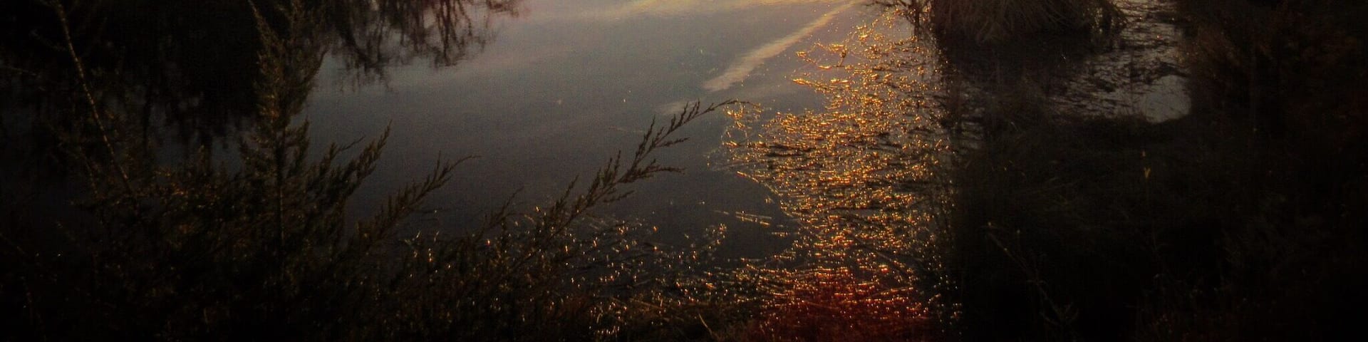 If you are looking for a nice hike, this lake has about a three mile trail all the way around it. A beautiful hike through woods, grassland, wetland, with beaver dams, lots of water fowl, and of course, beautiful sunsets and sunrises. Enjoy!