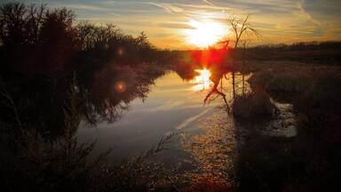If you are looking for a nice hike, this lake has about a three mile trail all the way around it. A beautiful hike through woods, grassland, wetland, with beaver dams, lots of water fowl, and of course, beautiful sunsets and sunrises. Enjoy!