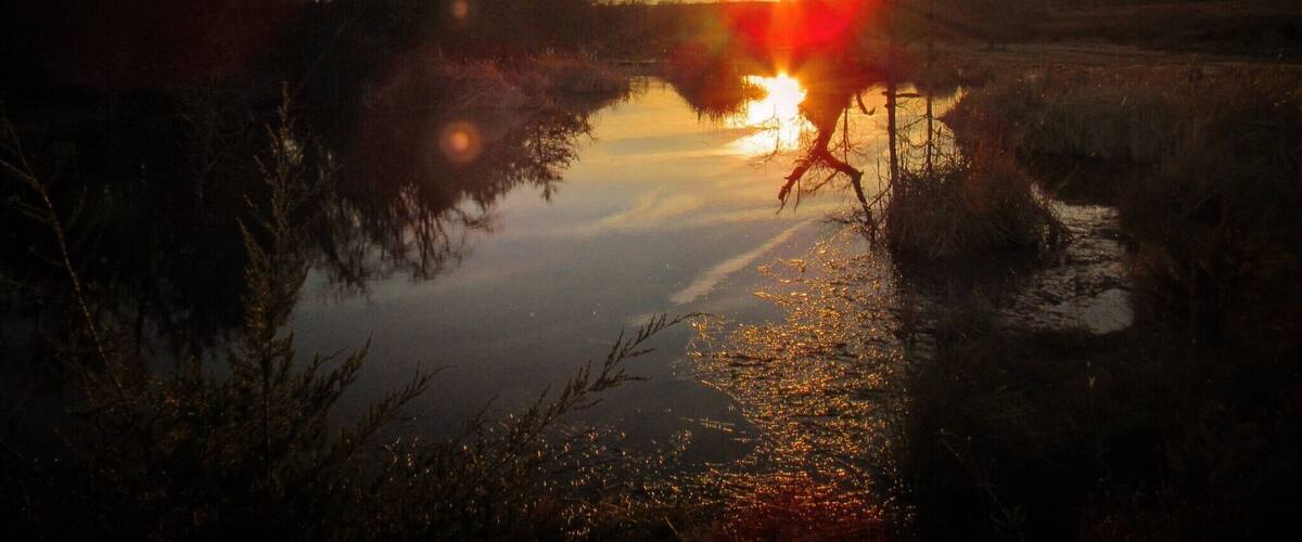 A sunset over a calm river with reflections of the sky, surrounded by trees and shrubs.