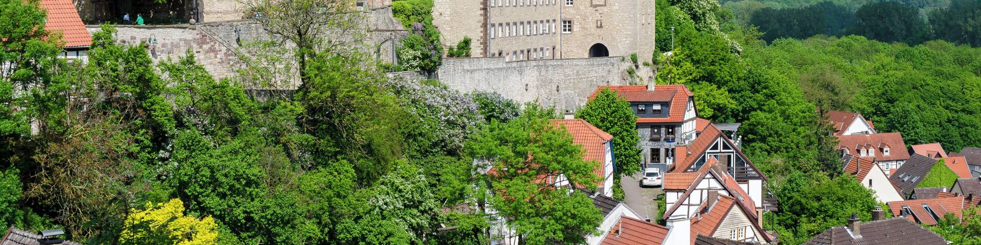 Warburg view over Protestant Old Town Church and grammar school "Marianum"