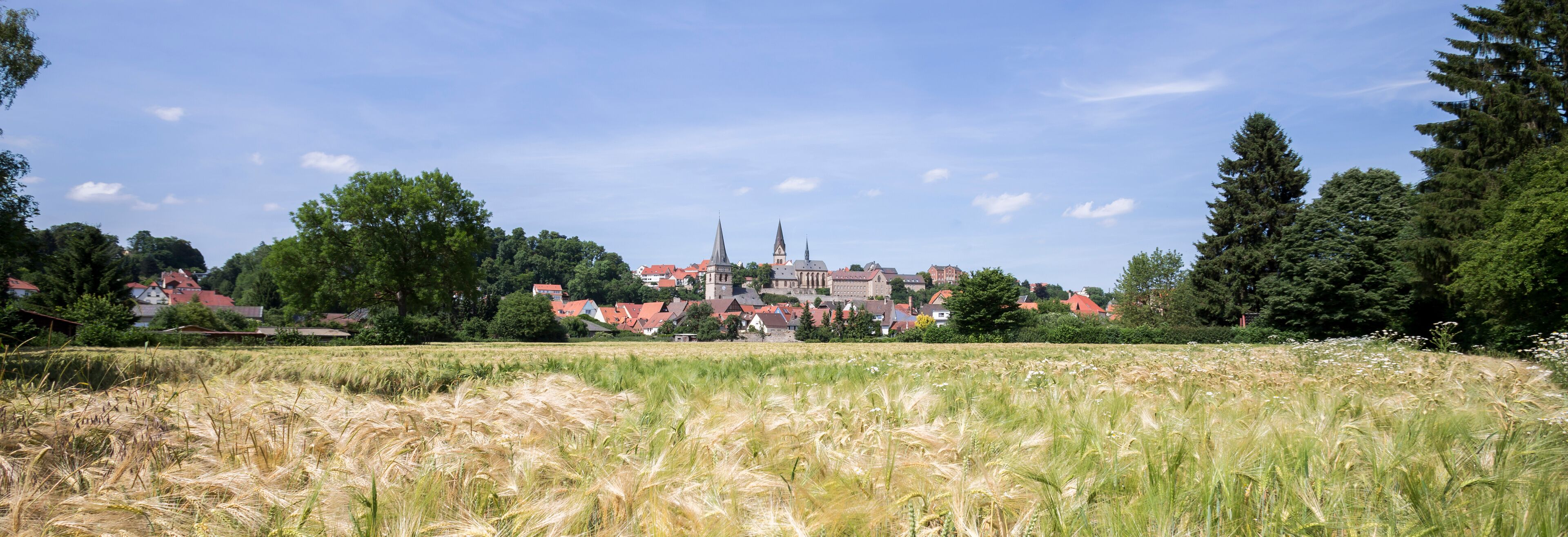 A rural landscape with a field of wheat in the foreground, a church with a tall spire in the background, and a cluster of houses with red roofs.