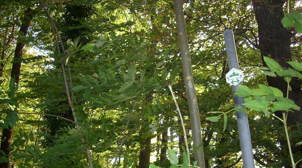 Ein einzelner Wegweiser der Kaiser-Route wird nahe Schwerte von Gebüsch verdeckt. (Nordrhein-Westfalen; Deutschland)