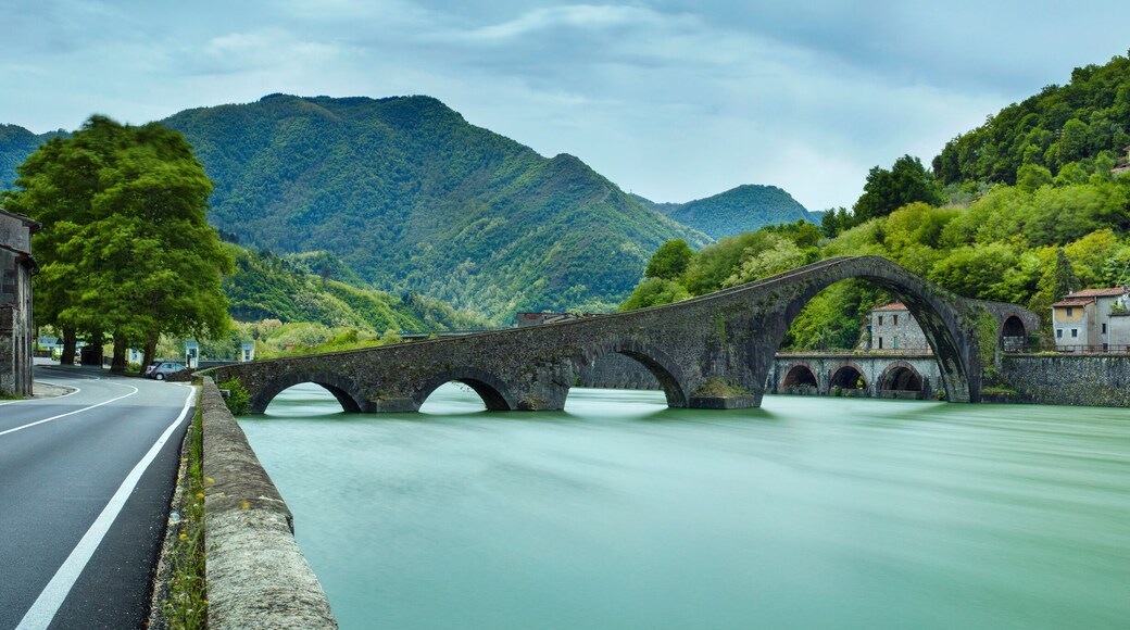 panorama with bridge and green river in Italy