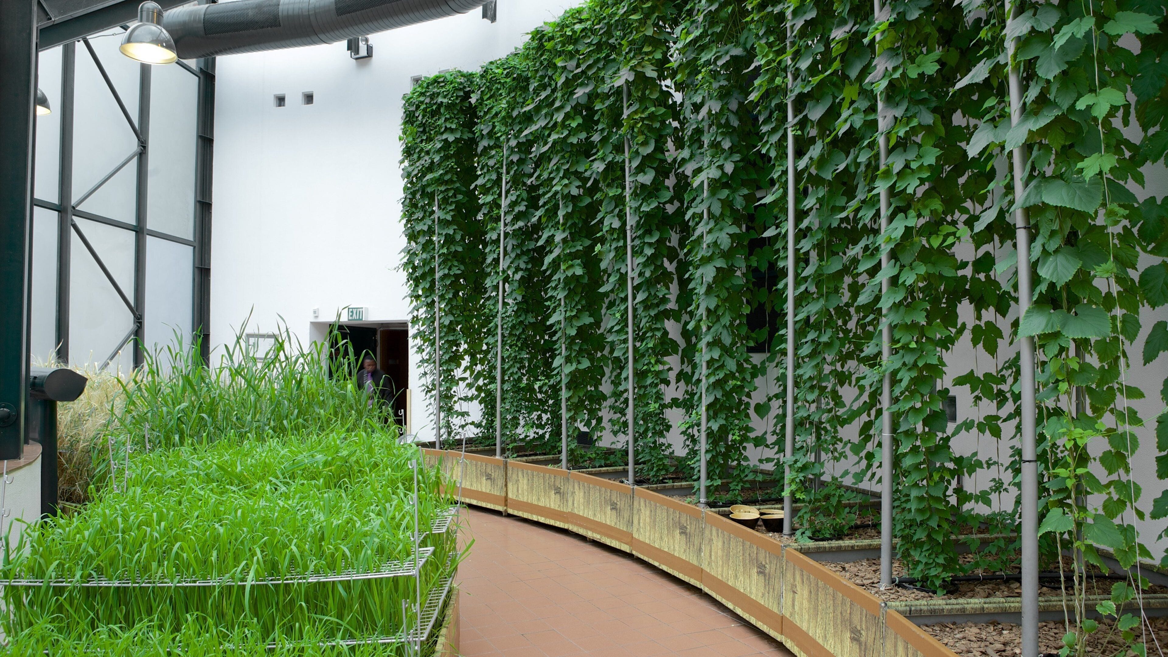 SAB World of Beer showing interior views