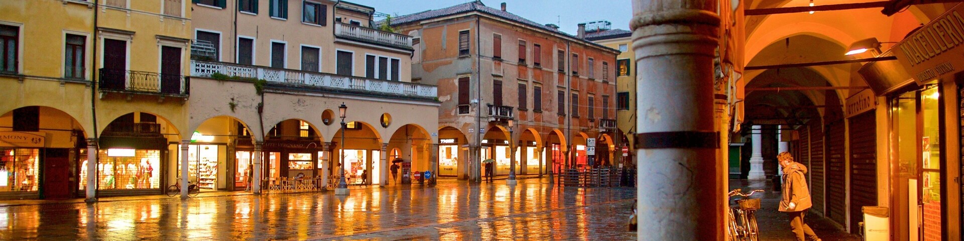 ์๋ฅด๋ฒ ๊ด์ฅ ์ด ํฌํจ ๊ด์ฅ, ์ผ๊ฒฝ ๊ณผ ๋์