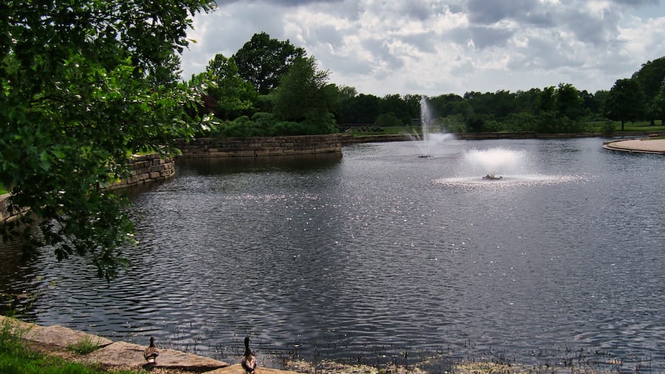 A lake with fountains, ducks, and surrounding greenery.