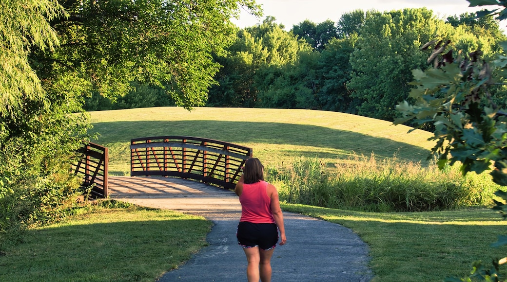 Olathe Community Center Bridge on Overcast Day