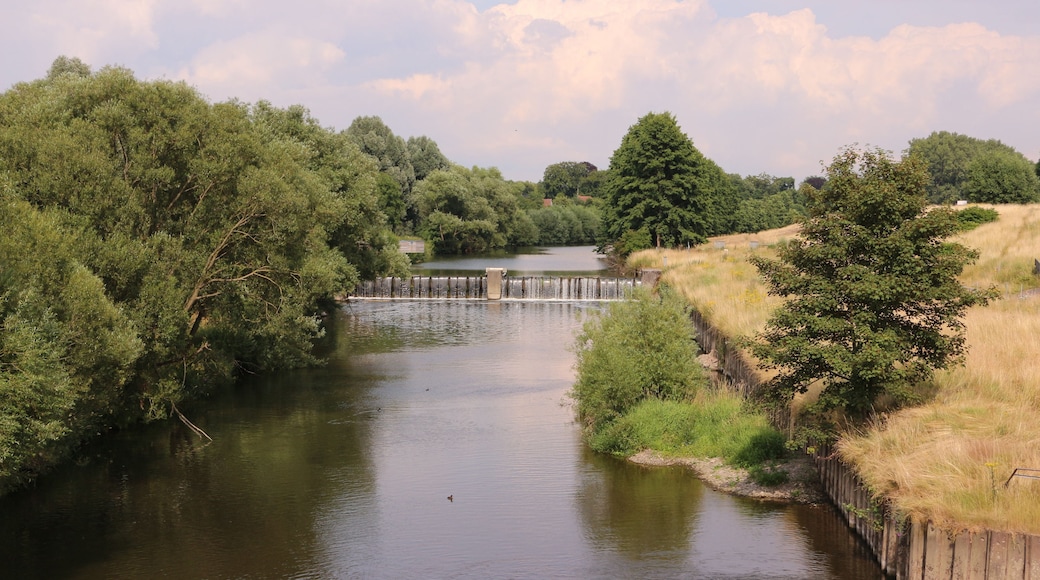 A river with a dam, surrounded by dense trees and grassy banks.