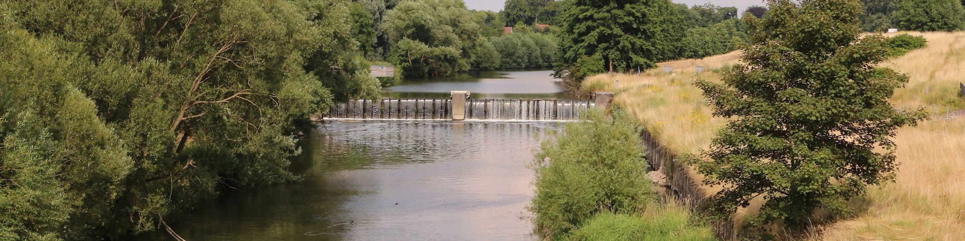 A river with a dam, surrounded by dense trees and grassy banks.