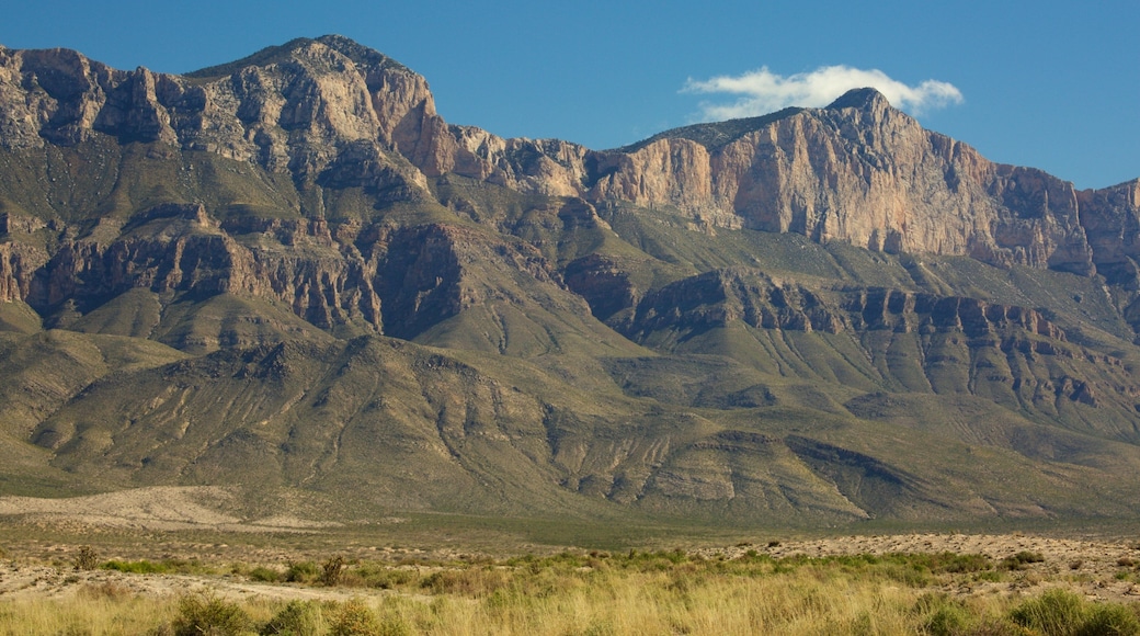 Salt Flat mostrando montañas