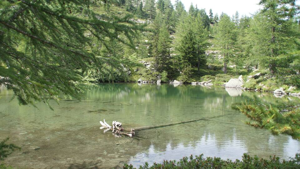 A clear lake surrounded by dense green forest and rocky terrain.