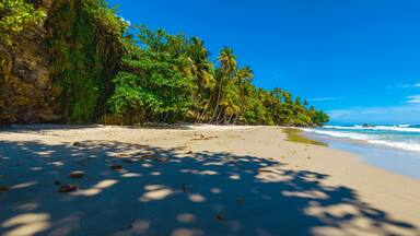 Panoramic view of a paradise beach under the coconut trees in Blanchisseuse, Trinidad and Tobago