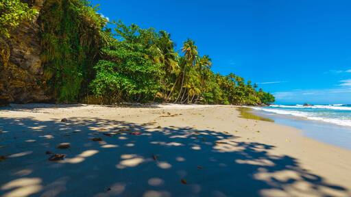 Panoramic view of a paradise beach under the coconut trees in Blanchisseuse, Trinidad and Tobago
