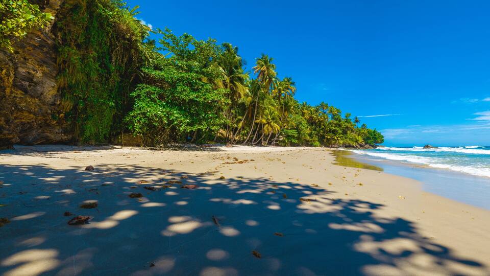 A beach with clear blue water, sandy shore, and lush green vegetation.