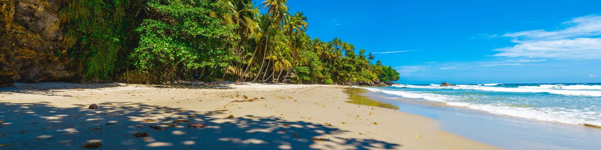 Panoramic view of a paradise beach under the coconut trees in Blanchisseuse, Trinidad and Tobago