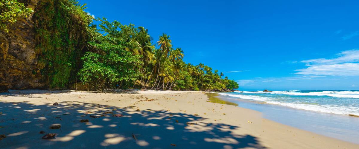 A beach with clear blue water, sandy shore, and lush green vegetation.