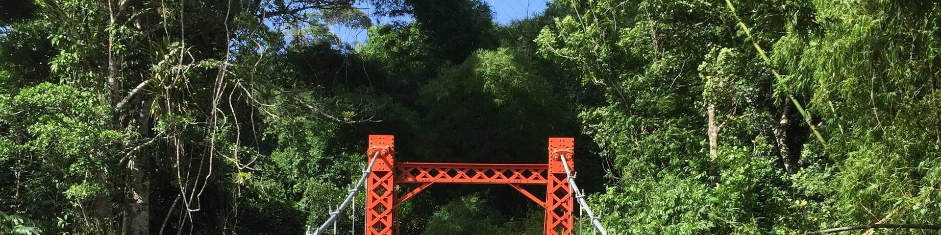 The spring bridge in Blanchisseuse is a pretty great spot for photos but also for those looking for a bit of serenity. Spend a few minutes in the silence looking at the fish in the river and your day will be made.