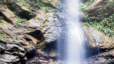 A waterfall cascading down a rocky cliff surrounded by lush greenery.