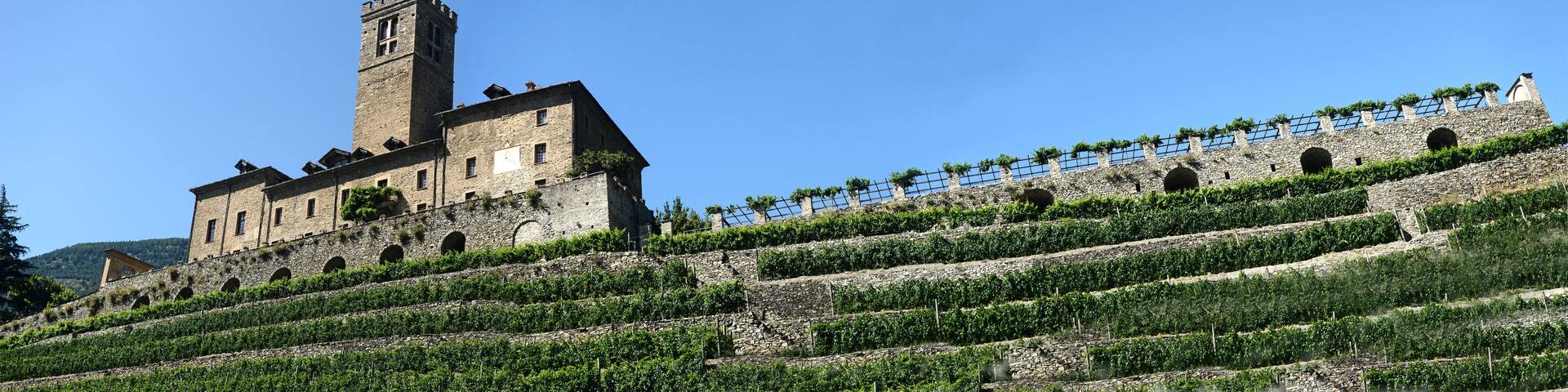 The castle of Sarre and its vineyard in Aosta Valley - Italy