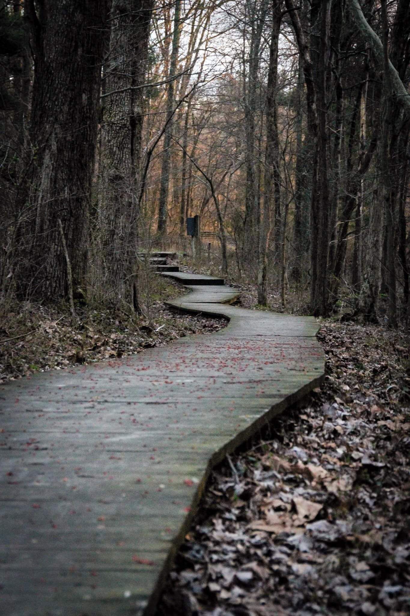 A great place to hike, reflect, relax and spend the summer with family , friends or even solo! 