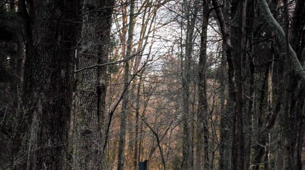 A great place to hike, reflect, relax and spend the summer with family , friends or even solo!