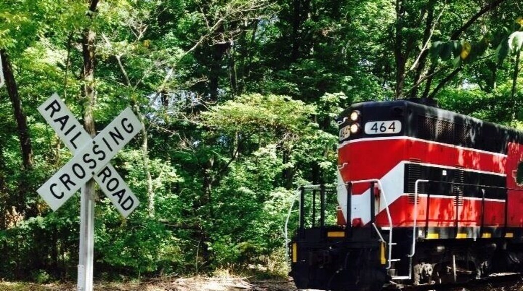 Taking a stroll through Abe Lincoln's back yard at the Lincoln Boyhood National Memorial. Abe spent the formative years of his life here from ages 7-21. This location offers a museum and a living history farm to bring you back to the good ole pioneer days. One of my top favorite places on my list of places to visit in a lifetime. Especially if you love American history. While in Lincoln City, also check out the history in Rockport. A city about 10 minutes from the Lincoln Memorial.