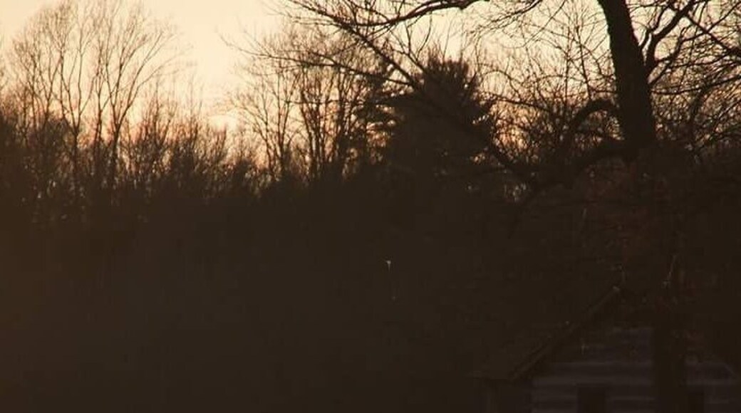 This is one of my favorite spots in the park... golden Hour on the lake ..