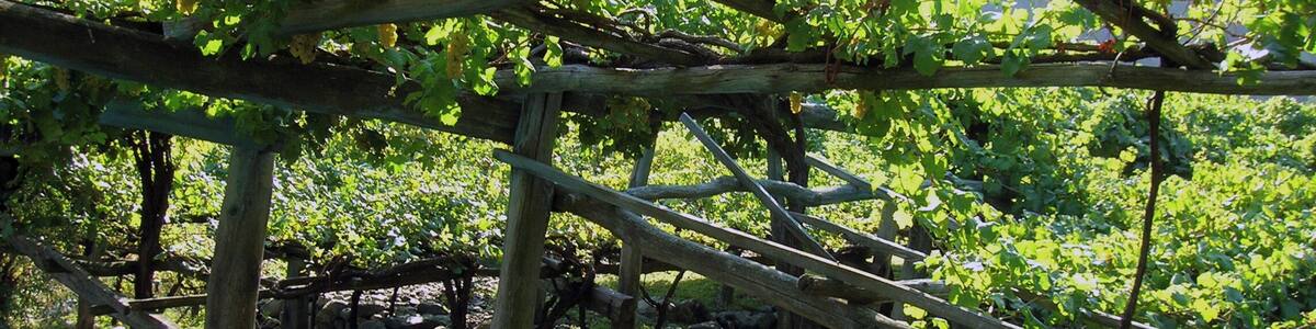 This is a photo of a monument which is part of cultural heritage of Italy. This monument participates in the contest Wiki Loves Monuments Italia 2012. See authorisations.